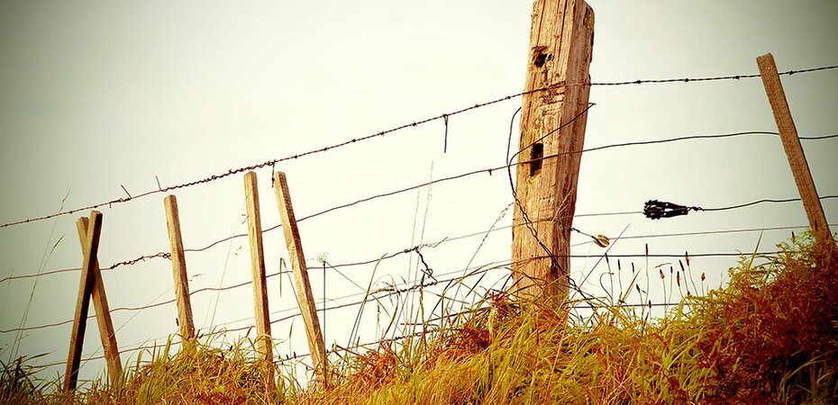 A Lorem ipsum dolor sit amet consectetur adipiscing elit metus at eleifend ultrices, mi augue pul...